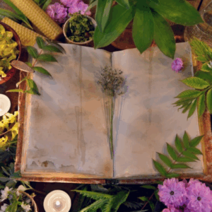 Akashic Records Reading with Sol 60 minutes