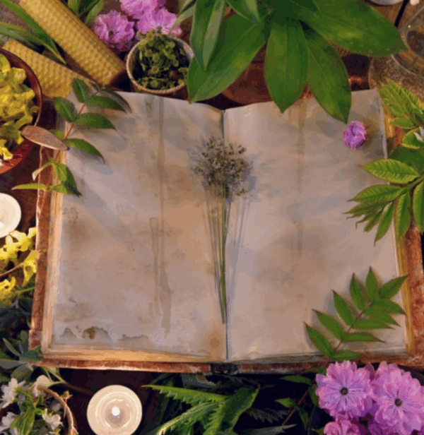 Akashic Records Reading with Sol 60 minutes